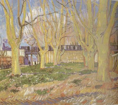 Vincent Van Gogh Avenue of Plane Trees near Arles Station (nn04)